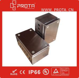 Stainless Steel Wall Mounting Enclosures